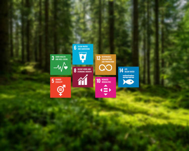 Mattssons Sustainability